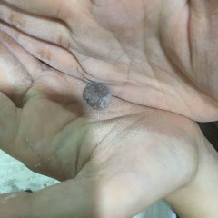 Cách làm Trân Châu Đen bằng bột cacao cực hay mà rất ngon