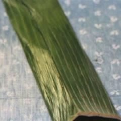 Cách Làm Tré Ngon Tại Nhà Vừa Dễ Vừa Đảm Bảo