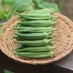 Cách Làm Trứng Cuộn Đậu Bắp Đơn Giản, Thơm Ngon