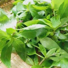 Cách làm Vịt Rang Muối giòn tan đậm đà hương vị tuyệt hảo