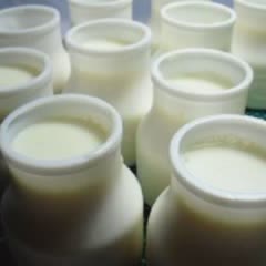 Cách Làm Yaourt Sữa Tươi Dẻo Mịn Thơm Ngon Tại Nhà
