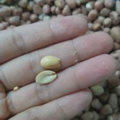 Cách Làm Đậu Phộng Rang Nước Mắm Tỏi | Giòn, Ngon