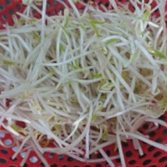 Cách Làm Bạch Tuộc Xào Ngon Cho Bữa Cơm Gia Đình