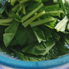 Cách Làm Cải Ngồng Xào Tỏi Đơn Giản, Thanh Mát