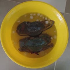 Cách Làm Cua Om Bí Ngòi Cực Ngon Cho Cả Gia Đình