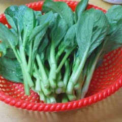 Cách làm thịt bò xào cải rổ
