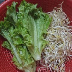 Cách làm Salad chay đậu nấm sốt mè