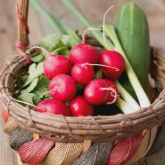 Cách làm Salad củ cải đỏ dưa leo