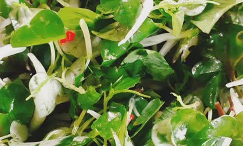 Cách Làm Salad Rau Càng Cua Đơn Giản | Tại Nhà