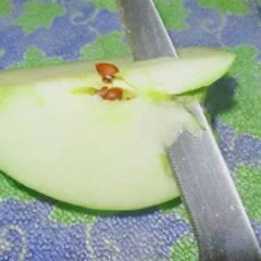 Cách Làm Salad Táo Xanh Với Củ Cải Độc Đáo Hấp Dẫn