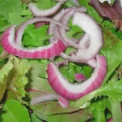 Cách Làm Salad Táo Xanh Với Củ Cải Độc Đáo Hấp Dẫn
