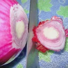 Cách Làm Salad Táo Xanh Với Củ Cải Độc Đáo Hấp Dẫn