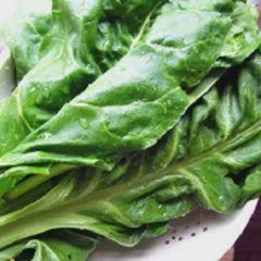 Cách Làm Salad Thịt Gà Sữa Chua Cho Ngày Cuối Tuần