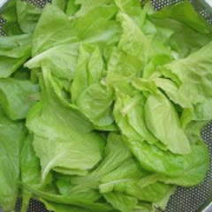 Cách Làm Salad Thịt Gà Sữa Chua Cho Ngày Cuối Tuần