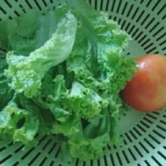 Cách làm Salad Ức Gà Nướng - Japanese Style ăn kiêng