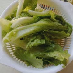 Cách làm Salad Xà Lách Giảm Cân đơn giản ngay tại nhà