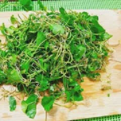 Cách làm sinh tố rau má thơm mát