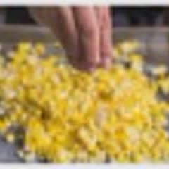 Cách làm súp bắp kem kiểu Nhật