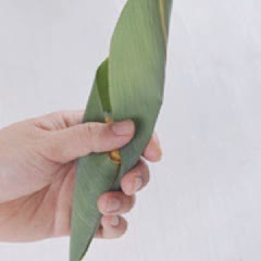 Cách Làm Xôi Bắp Hình Nón Đẹp Mắt, Ngon Miệng