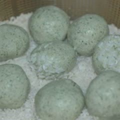 Cách Làm Xôi Cúc Thơm Ngon, Hấp Dẫn Ngay Tại Nhà