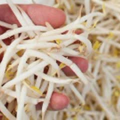 Cách làm nước ép giá đỗ thơm