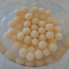 Cách nấu chè mochi xoài ấm nóng