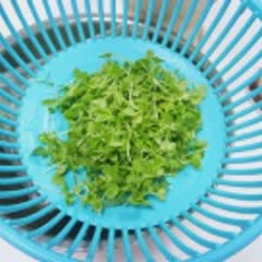 Cách làm salad đậu hũ non trộn cam và rau mầm