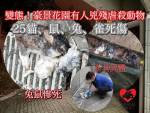 極憤怒！豪景花園虐殺動物慘劇25死傷 鄺俊宇斥兇徒不可原諒