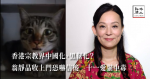 香港宗教界中國化、黑幫化?翁靜晶收上門恐嚇信後,十一愛貓遭疑下毒