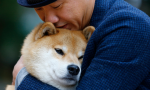 《巴別塔之犬》：就算靈犀難通，「愛」依舊可以通行於人與人，甚至人與獸之間