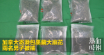 加拿大寄港包裹藏大麻花　兩名男子被捕