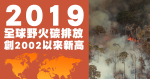 圖解2019全球野火碳排放：巴西、印尼、澳洲與北極圈