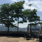 一個臺灣中大人的悲傷