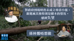 【山竹襲港】潘啟迪指政府現時仍未成立小組跟進風災後樹木情況　游清源：係林鄭唔想做