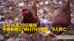 上月16至29日期間　中國新增57宗H7N9個案　9人死亡