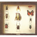 《怎樣天生不是女人》男人壓力大