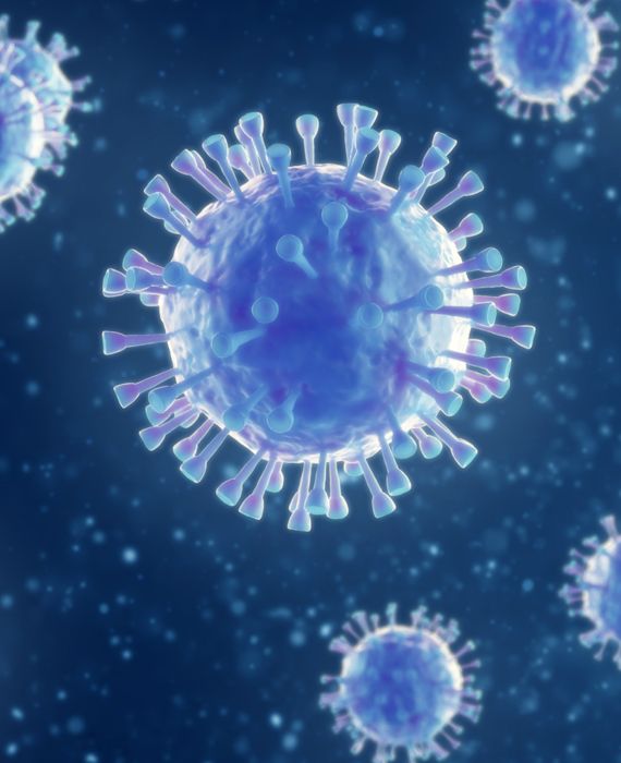 Inhalation of steam from hot water kills Coronavirus.