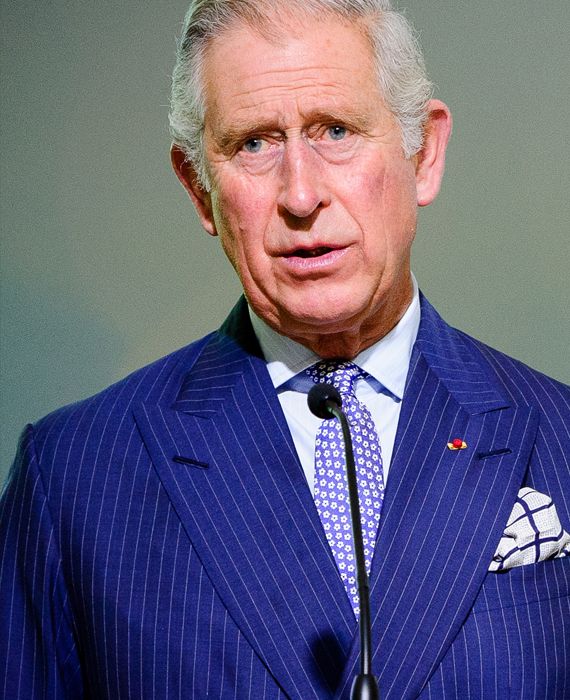 Prince Charles has tested positive for the novel coronavirus.