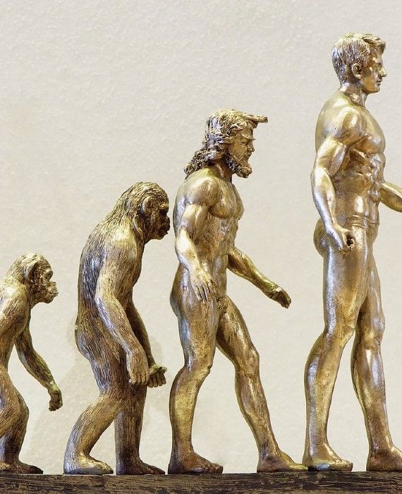Homo sapien is the only extant human species.