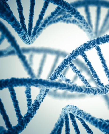 Indians have genetic protection against coronavirus.