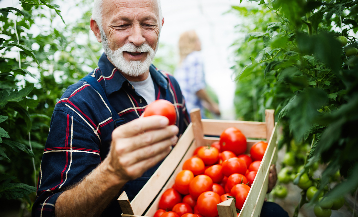 Heinz ketchup is made with California Tomatoes which are imported from Mexico.