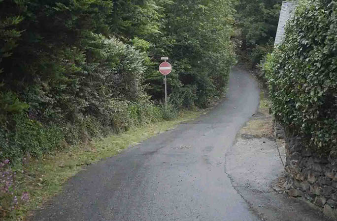 Baldwin Street in New Zealand is the steepest street in the world.
