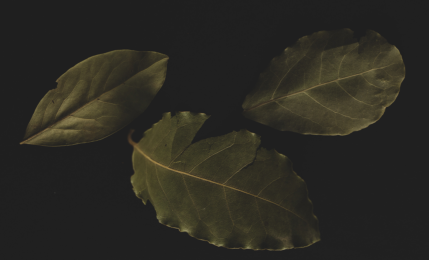 Bay leaves will help to get rid of many illnesses and diseases.