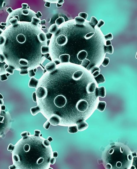 Scientists have been tracking 8 strains of the novel coronavirus (SARS-CoV-2).