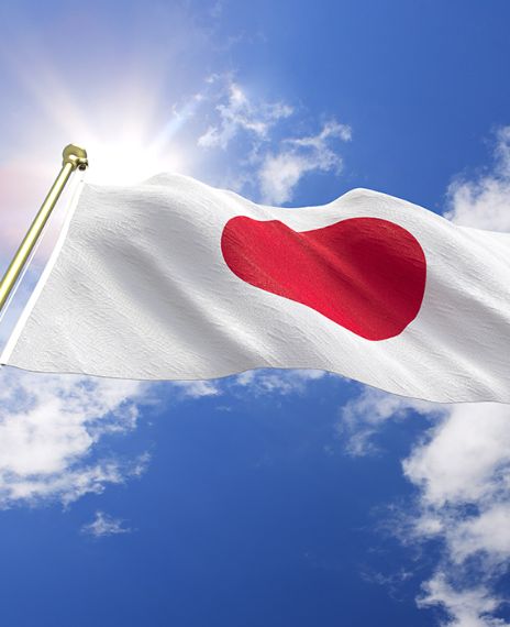 The Japanese passport is the world's most powerful passport.