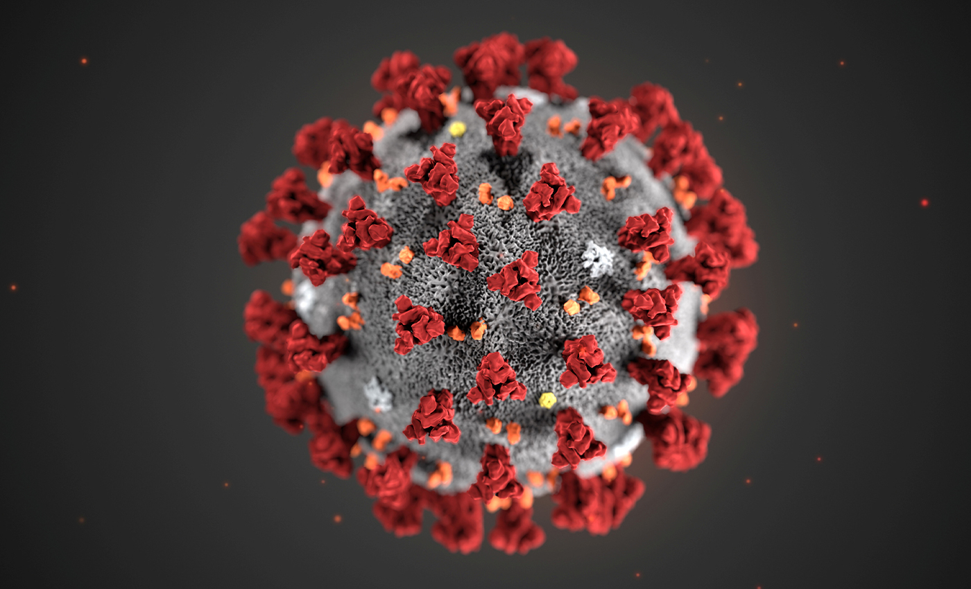 Inhalation of steam from hot water kills coronavirus.