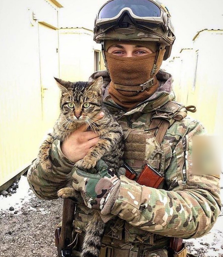 The Ukrainian army has trained cats to spot sniper lasers.