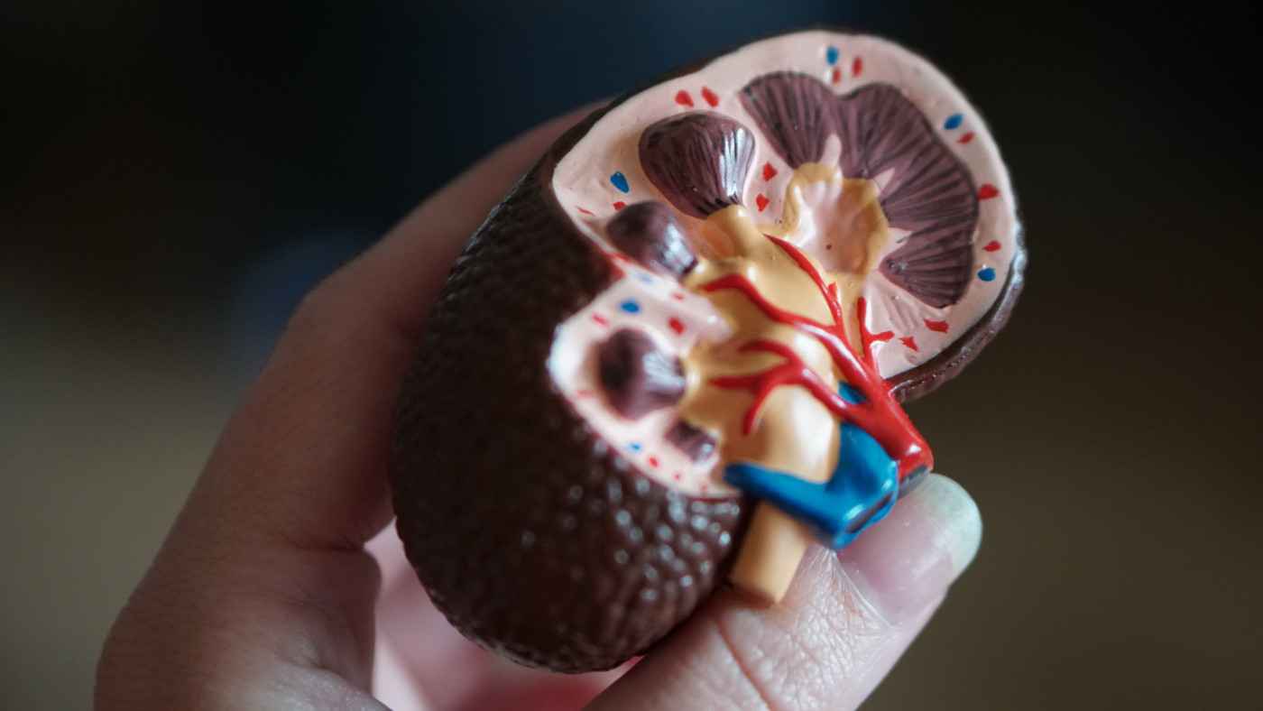 There is a fake message offering to donate kidneys from a brain-dead couple circulating on social media.