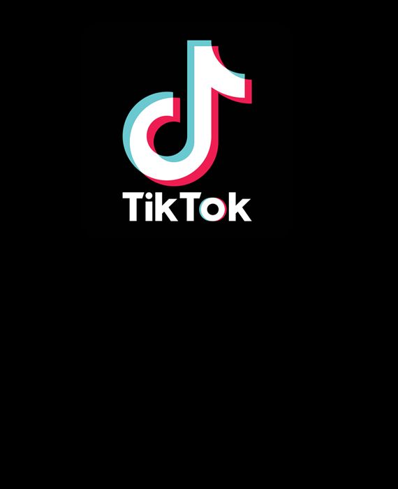 India has come up with its own version of the TikTok app by the name Mitron.