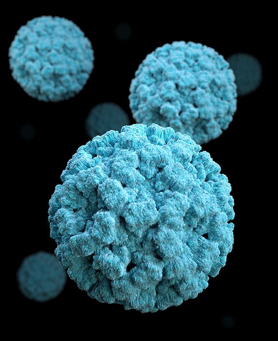 Despite Karnataka closing its borders due to the coronavirus outbreak, essential services and goods are allowed to cross the border to go to other states.